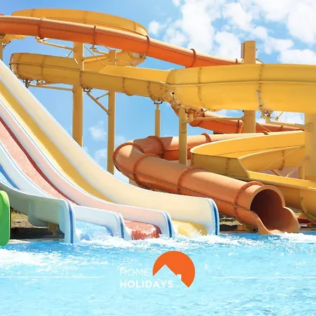 #275 Only Families - A Flor By Holidays *